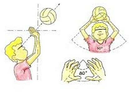 Modificación del reglamento