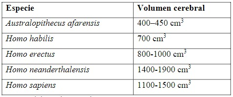 surgimiento de los homínidos y de las características únicas de su cerebro