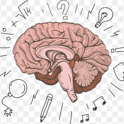 Timeline: linea de tiempo para donde viene y para donde va el cerebro