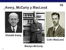Avery, McLeod y McCarty