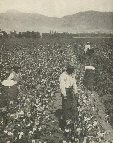 Slavery domination in southern life