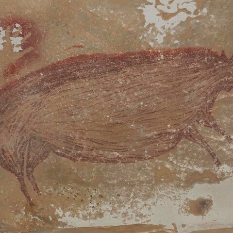 cave paintings