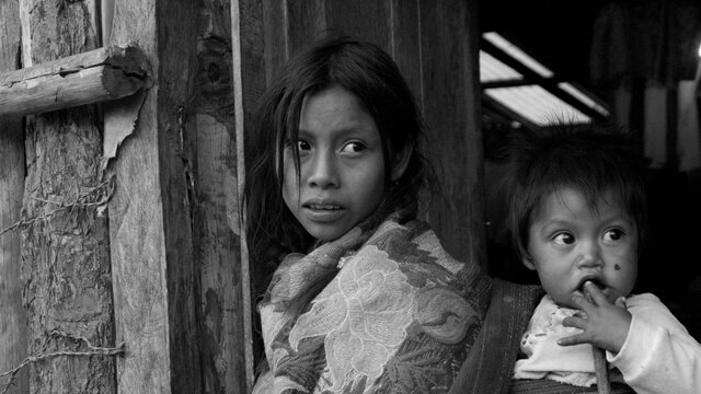 Aumento exponencial demográfico