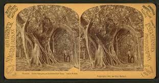 fotografías estereoscópicas