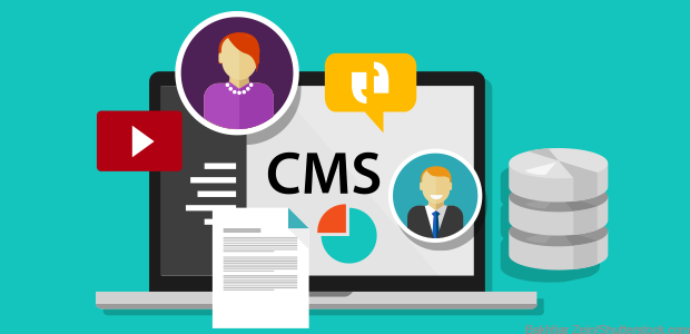 Aparecen los CMS ( Content Management Systems o Course Management Systems).
