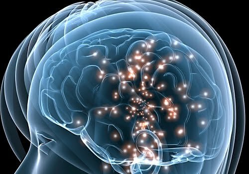 Origen del Cerebro (541 y 485 Millones de años P. Cambrico)