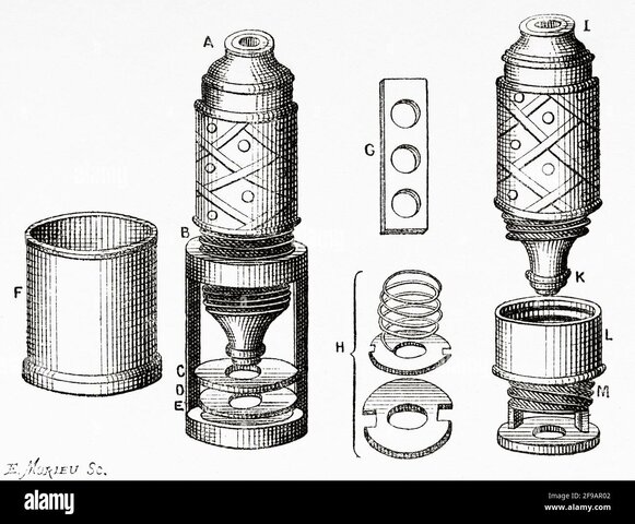 Micrographia Curiosa