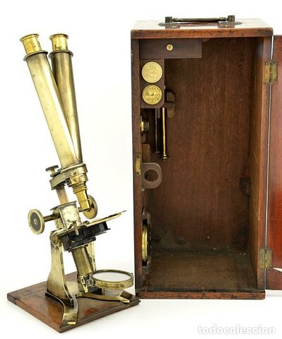 Evolución del Microscopio Diego Moreno timeline | Timetoast timelines