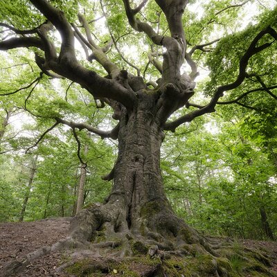Timeline: μόλυνση του περιβάλλοντος