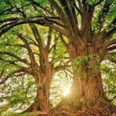 Timeline: ρηπανση του περηβαλοντος