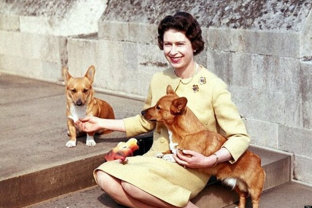 The FIRST monarch to bring out a new breed of dog herself.