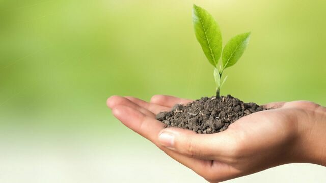 EL DILUBIO, RE-CREACIÓN DEL MUNDO