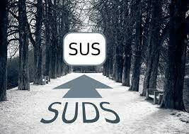 Estruturação do SUDS