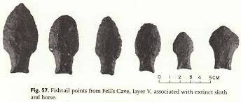 Amérca del Sur Puntas cola de pescado