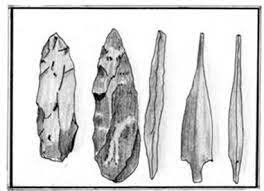 América del Sur Punta lanceolada