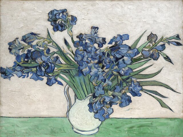 Iris
