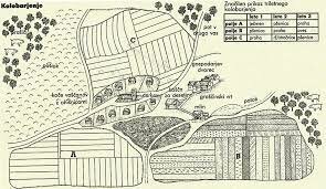 Uvedba triletnega kolobarjenja