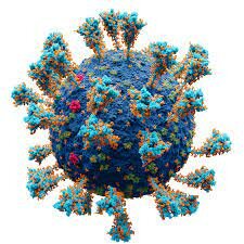 What was the first virus? When was it created?