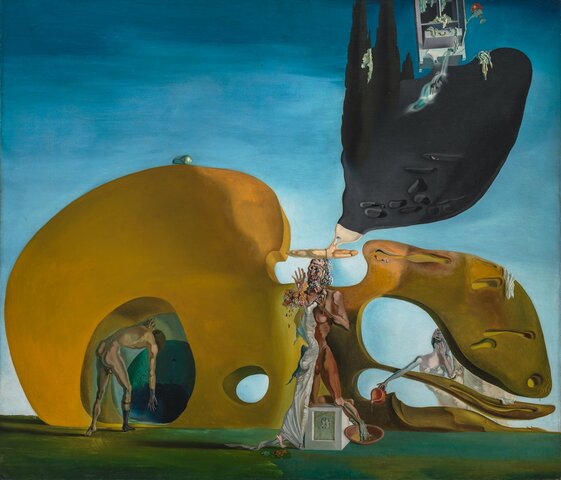 SALVADOR DALI - Nascita dei desideri liquidi