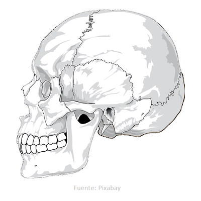 Timeline: SURGIMIENTO