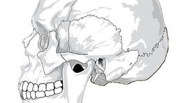 Timeline: SURGIMIENTO