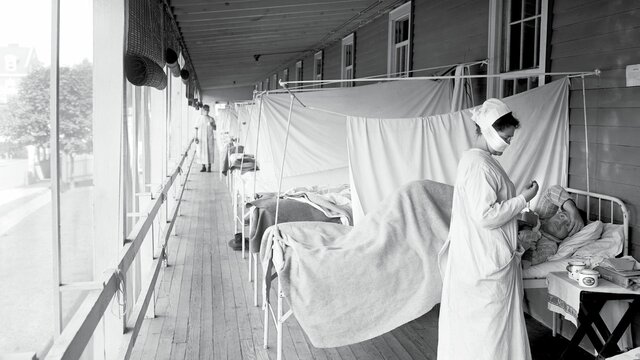 Influenza (flu) epidemic