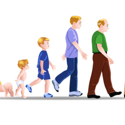 Timeline: Etapas del desarrollo