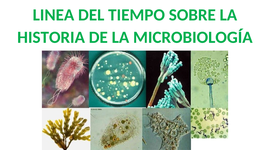 Timeline: HISTORIA DE LA MICROBIOLOGIA