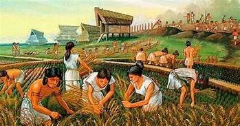 inicios de las enfermedades