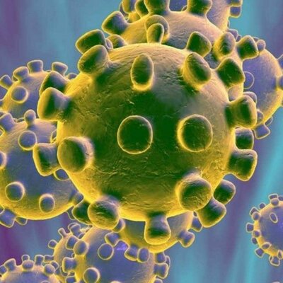 Timeline: Historia de la virología