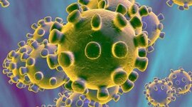 Timeline: Historia de la virología