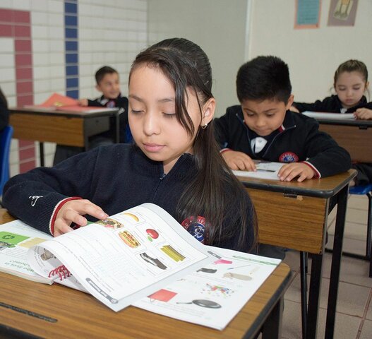 Niñez intermedia (6 a 11 años)