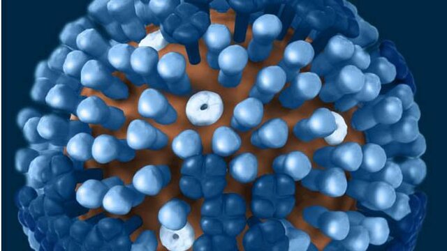 Pandemia virus de la gripe