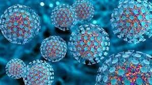 Se descubre el primer retrovirus humano