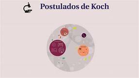 estudios de medico robert kouch: postulados de Koch