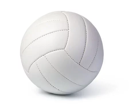 Pelota de voleibol