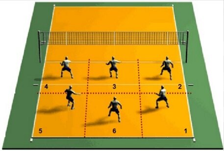 Jugadores por equipo