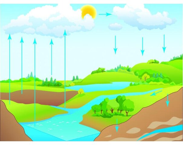 Importancia de los ecosistemas