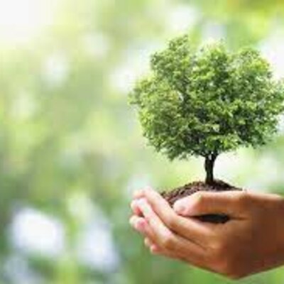 Timeline: Evolución y origen del concepto de desarrollo sustentable.