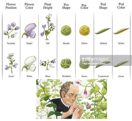 Décimo Tercero Evento