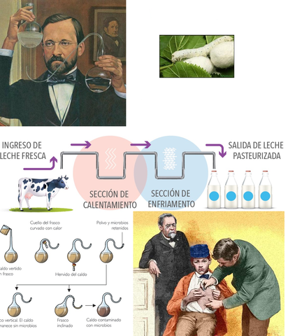 Décimo Cuarto Evento