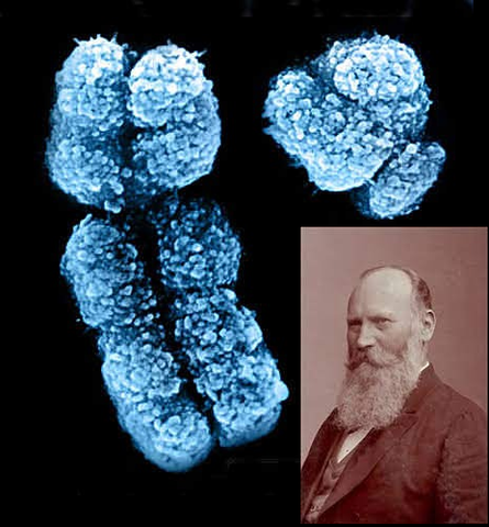 Décimo Quinto Evento