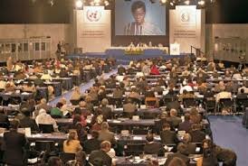 Plan de acción internacional de Viena sobre envejecimiento