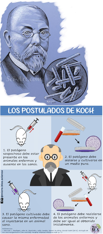 Décimo Sexto Evento