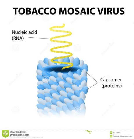 Décimo Septimo Evento