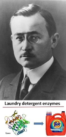 Vigésimo Primer Evento