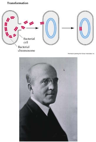 Vigésimo Quinto Evento