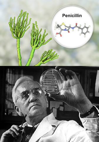 Vigésimo Sexto Evento