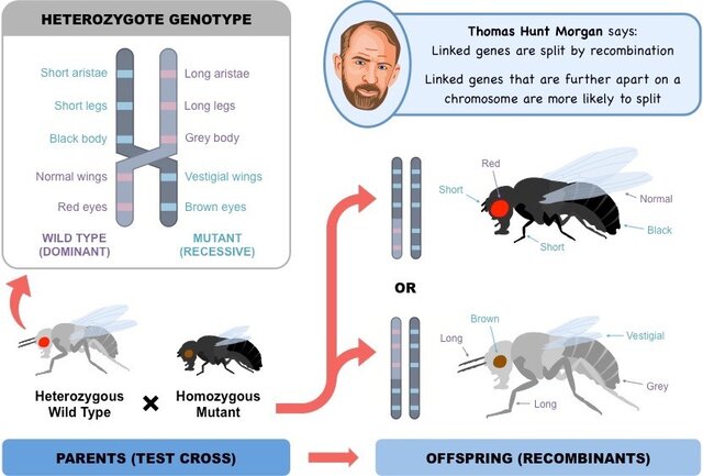 Vigésimo Septimo Evento
