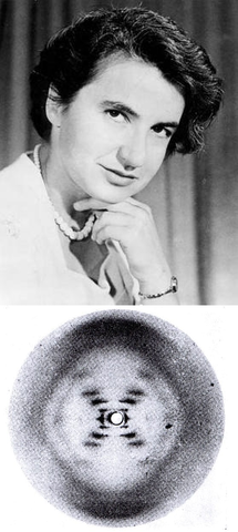 Vigésimo Noveno Evento